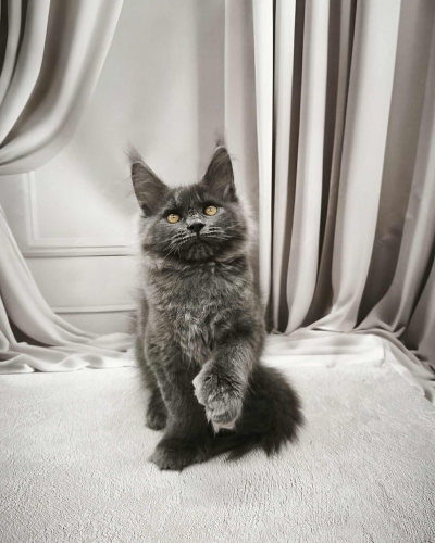 B80644E1-B8D6-4CA0-A004-920499E7B9E1