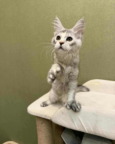 B866AB01-DA4E-4DDA-87E9-73469A203480