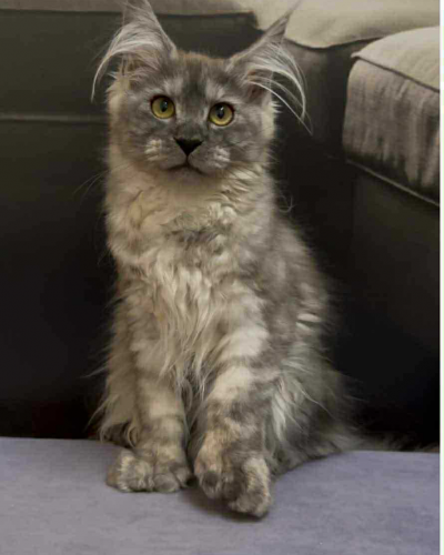 B952C817-2674-4CF2-B601-B0E3EDDDA3EB