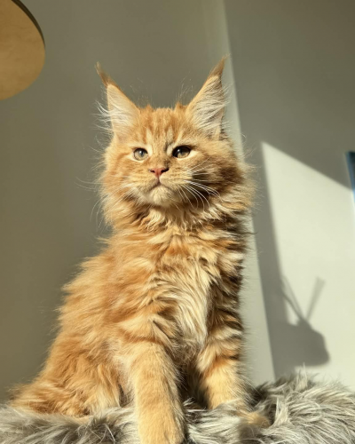 B96B3A03-0E30-48C5-9D0F-A578F5D5035D