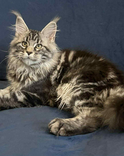 B993CDBB-AB61-4685-9702-D869B09E5438