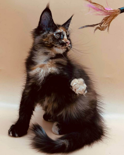 BC024AAC-3B3A-4B71-854E-04DCC8476F92