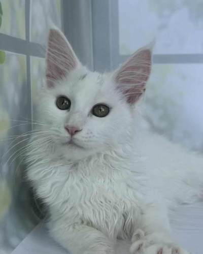 BC0DCF63-D00E-430F-8AC8-43BA1D38D0A5