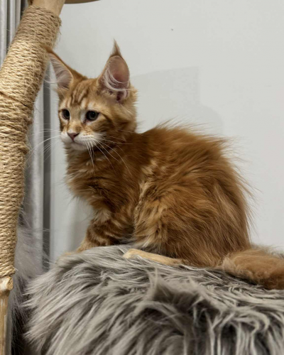 BCD9D15C-4E14-425C-8352-CDFC9BDC9684