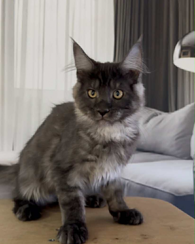 BDA443BC-62B8-4C6A-BEB4-7182D21FD4D4