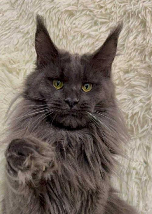 C1ED3F95-13D2-4087-BC7E-4E5DA1DDEEC7