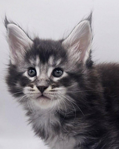 C1F9A711-26D8-4734-9B05-A864074AE99E