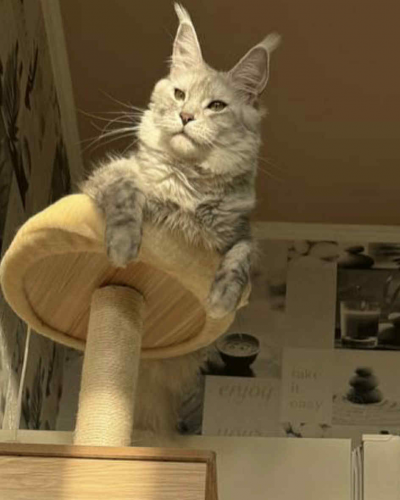 C23927FB-AB58-486F-B4BA-8DD31DC72E0F