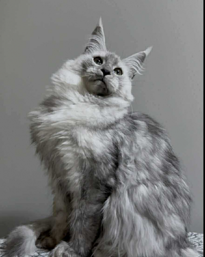 C298A4D4-8169-444B-BD7F-68E71565F865