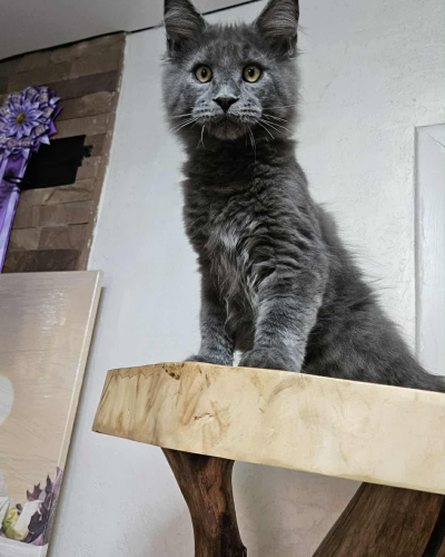 C2C5AE82-276C-4255-BE22-4710F053BC1D