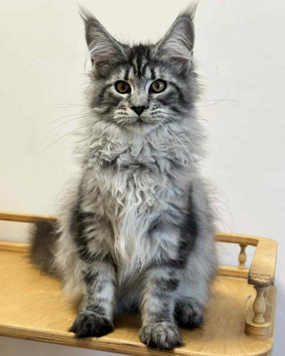 C49C889D-E56C-4FB5-86A5-21E37E7B39FB