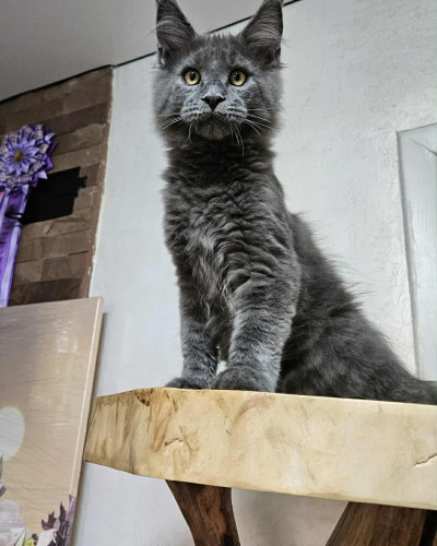 C4FD544F-3EAC-4ED9-9EA3-95DCD696C4B2