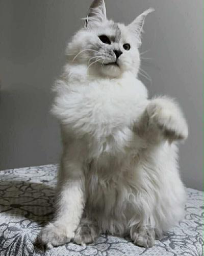 C52C8144-820F-4D66-92E3-A598C85DBF3E