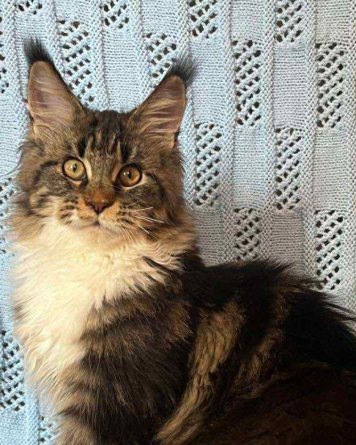 C7E7A011-F5BE-414B-9EDE-E788C7280A59