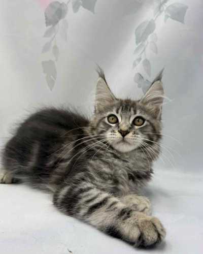 C96497F1-CACE-42DA-94D9-DD786D0C58FD