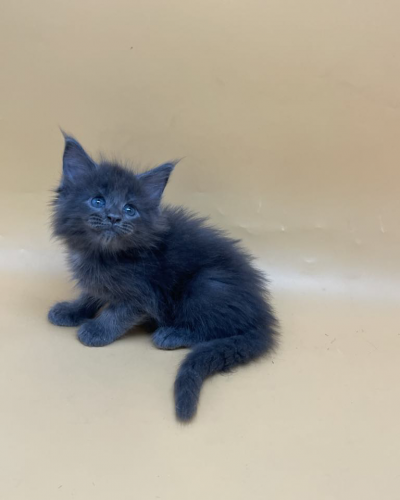 CB1A6537-F0CB-4F7A-8F24-A97098A7B18E