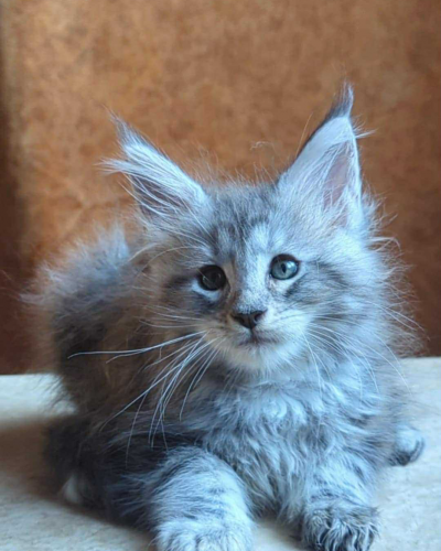 CB55B3BF-6C8B-4701-B55A-9A5DCE8DEA43