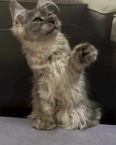 CC36E6F4-73FD-4B83-AC09-6CB468A65800