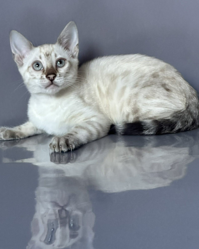 CE34A57D-FC4B-4824-AE56-12DA3BF60F06