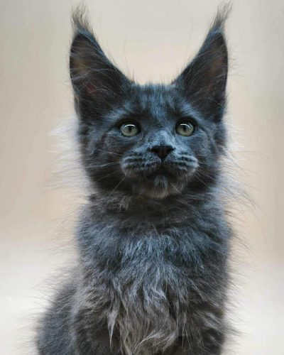 CEC0D7FA-C3D2-4EAD-A257-37CE590E10AA