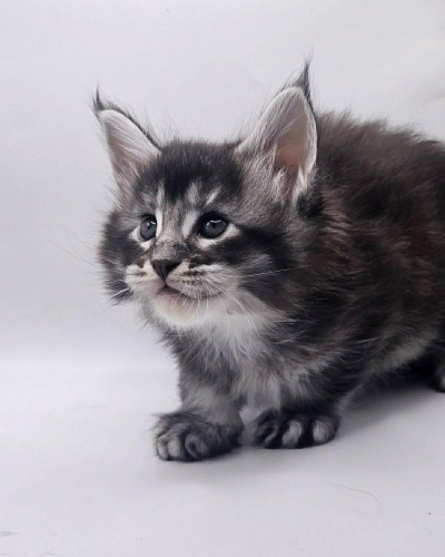 CEF26438-30F7-4C93-991D-51858B2F38FD