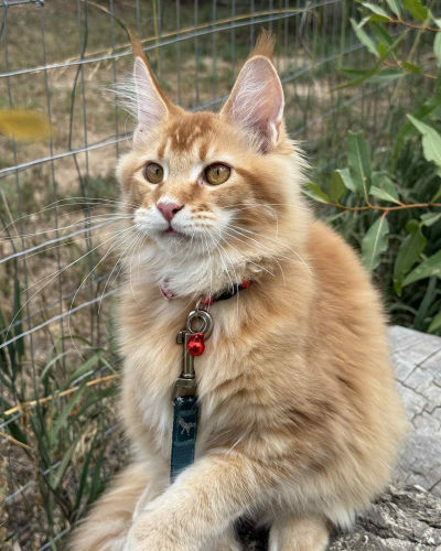 CF192CEF-3889-4FFA-A698-A854A7DD6154