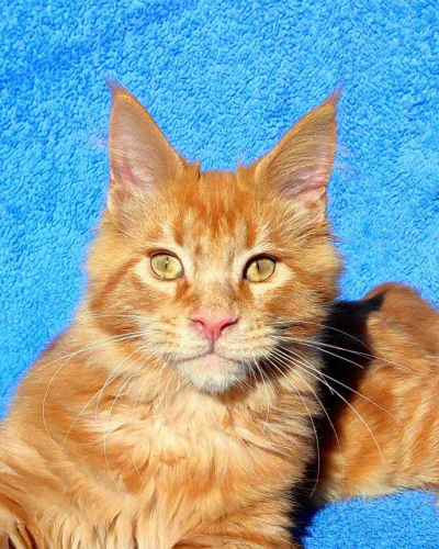 D030FD49-52D0-427E-BC76-3FA3E194F6C1