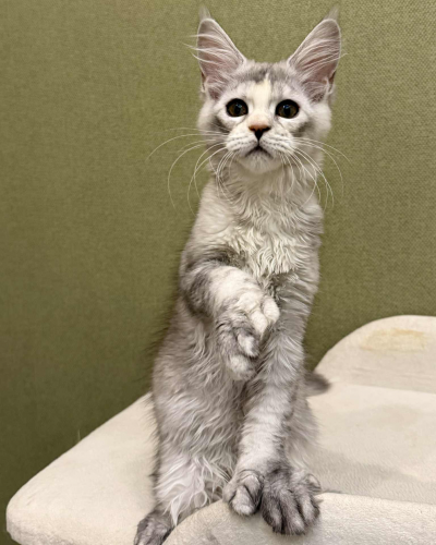 D1947418-3A16-4384-B848-203844F7761C