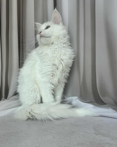 D1B3A339-41C0-4599-A8EA-22F16E572AE9