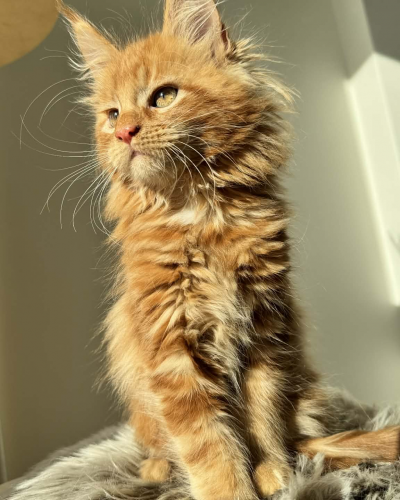 D21800DC-E26A-408F-A42B-ACA95D8E3D02