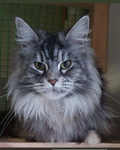 D2263D33-564F-441A-8077-5926CDC85F30