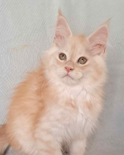 D266C302-6E9F-4893-927F-62C878386722