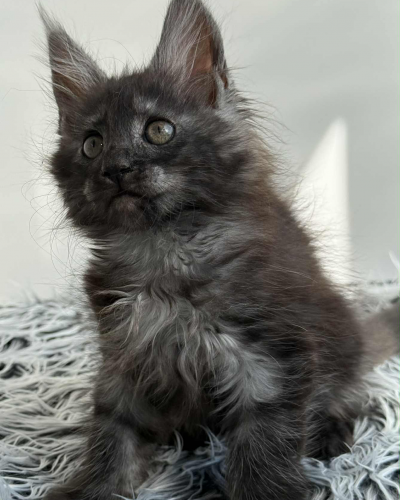 D3A46EEC-56A5-443F-AC87-1EC82586F857