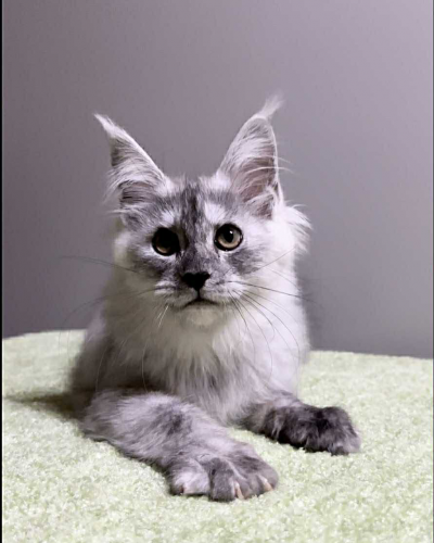 D45C82A1-4D0A-4DDC-9A31-5B668AEEA414