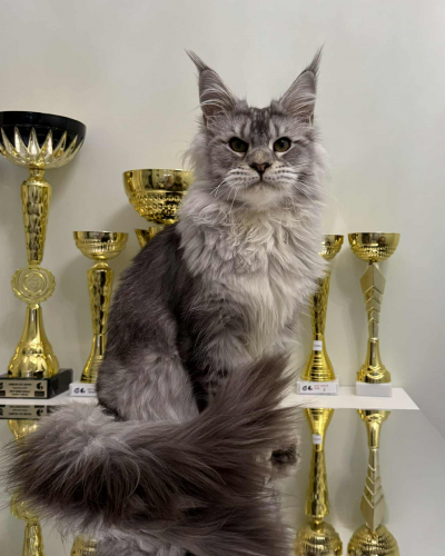 D5E81E3D-0227-4465-8416-DEDF5847DB01