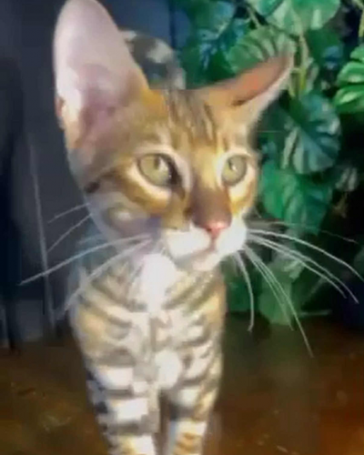 D5F04AB0-8D97-4504-B8B2-FF9228DEA995