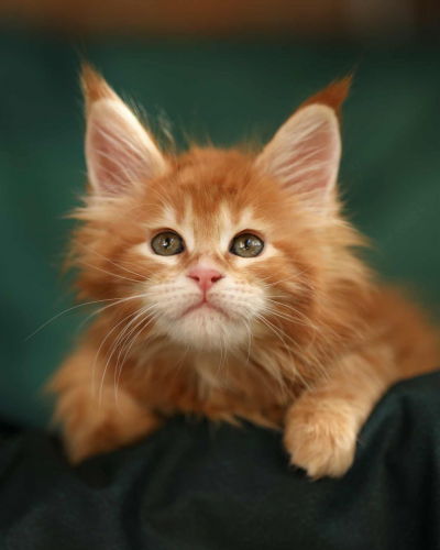 D5FC38F8-1163-4B57-8362-F94AA2D29CBC