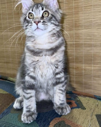 D6A83FA5-1763-4E25-B1B2-0B9A05037B49