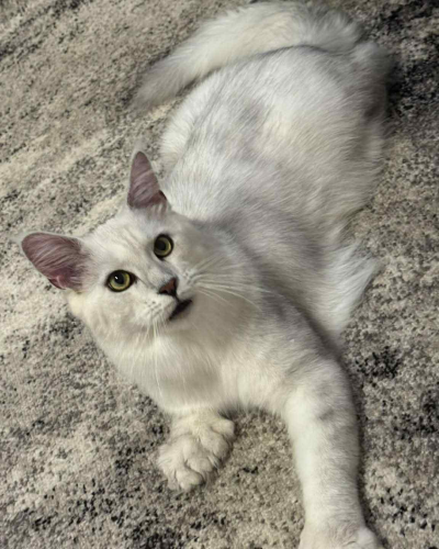 D783DC4C-B158-4B56-8EE5-43DDE73627D1