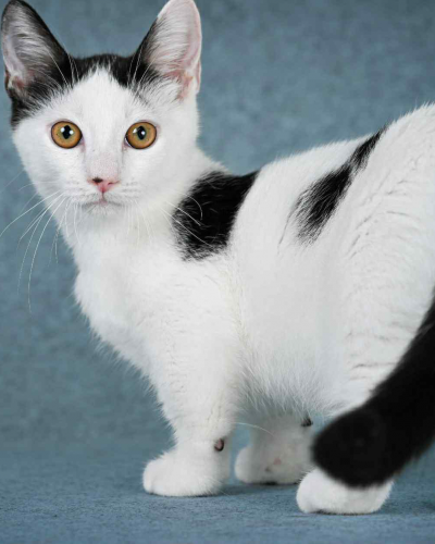 D7F39480-A1C4-4539-8522-6BFE99D60EC7