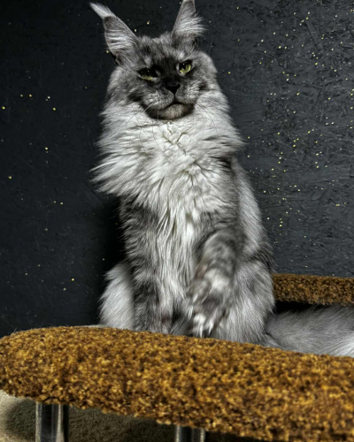 D8932D85-0DD7-44EB-85DD-7AC1BED25967