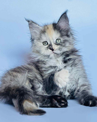 DA82CAEF-A1E3-4FA9-9F1C-EA2D715C4E97