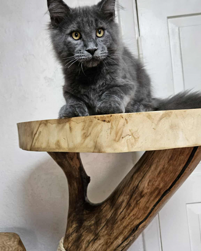 DB327281-A7FC-4AE2-9030-98CCA5F57526