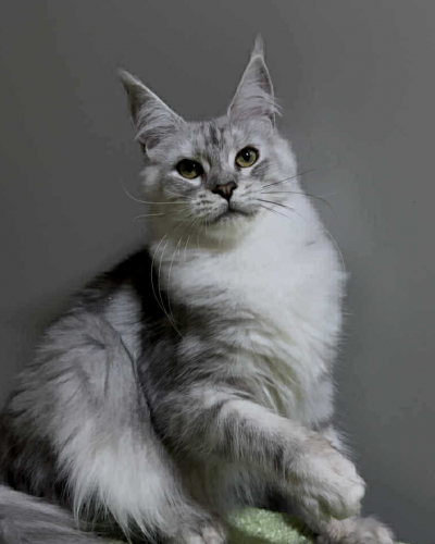 DC0848D0-EDB8-488F-AD21-22ECFA72AF10