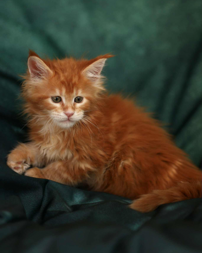 E07377A8-E496-4557-A264-5B843E9EF1AF