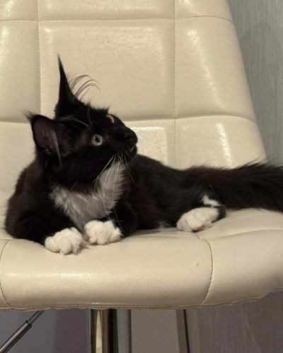 E0816BF1-A7D5-47A8-ACED-F4C7FF31A4AE