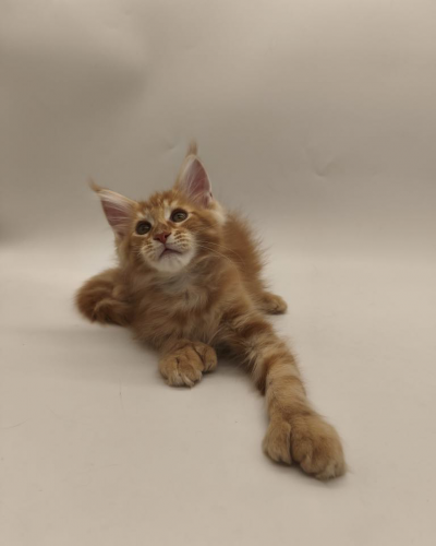 E1728DBF-E4B9-48A1-856B-8CC20FA127E3