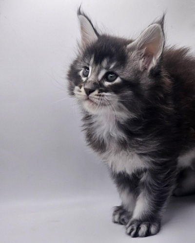 E1A150B1-493B-468B-8231-B7E28563D7E2