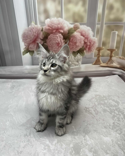 E4FD7377-E862-49E3-AF66-C2D9142674BC