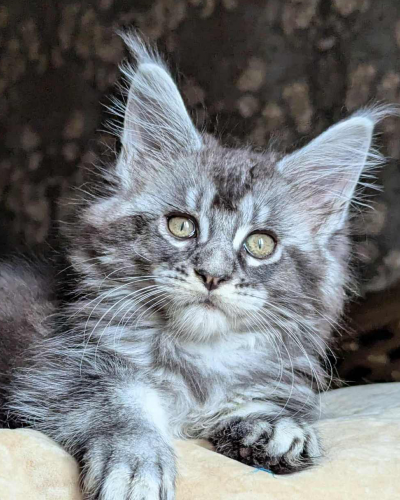 E573ADB0-F164-4CAA-B2C4-8AE8C4E12957